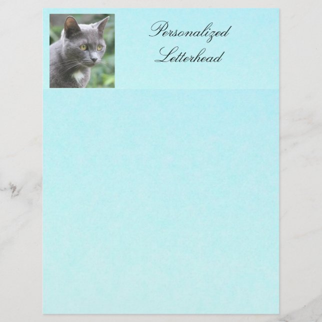 Personalisiert Grau Kitty Letterhead (Vorderseite)
