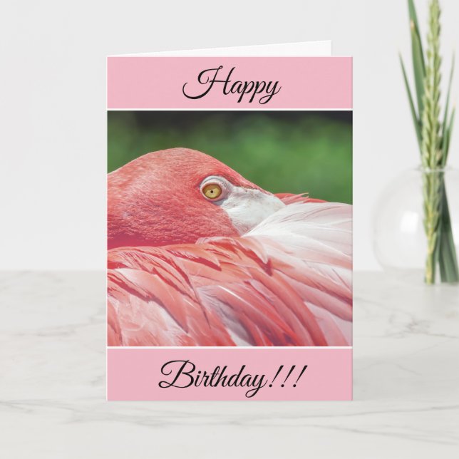Personalisiert Happy Birthday Flamingo Card Karte (Vorderseite)