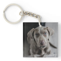 Personalisiert Hunde Foto Keepake Schlüsselanhänge