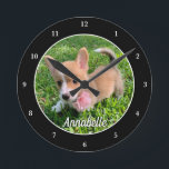 Personalisiert Hunde Foto Monogram Moderner Hausbe Runde Wanduhr<br><div class="desc">Personalisieren Sie das Foto Ihres eigenen Hundes auf dieser niedlichen,  modernen Haustier-Wanduhr und passen Sie mit ihrem Namen unten an. Ein wunderschönes Geschenk für Hunde oder Katzenbesitzer,  um ihre Liebe zu verewigen. Schwarz mit weißen Zahlen.</div>