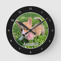 Personalisiert Hunde Foto Monogram Moderner Hausbe