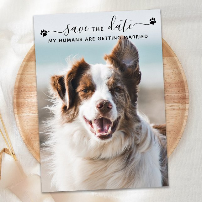Personalisiert Hunde Hochzeitstiefel Foto Save the Date (Von Creator hochgeladen)