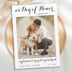 Personalisiert Hunde Hunde Foto Moderne Script Hoc Save The Date
