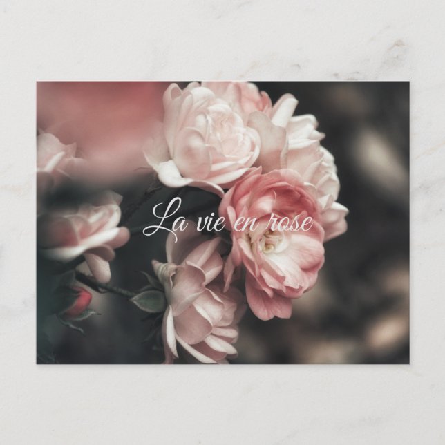 Personalisiert/ La Vie en Rose/ Florenz Postkarte (Vorderseite)