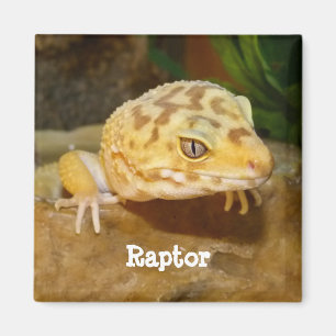 Personalisiert Leopard Gecko Lizard Magnet