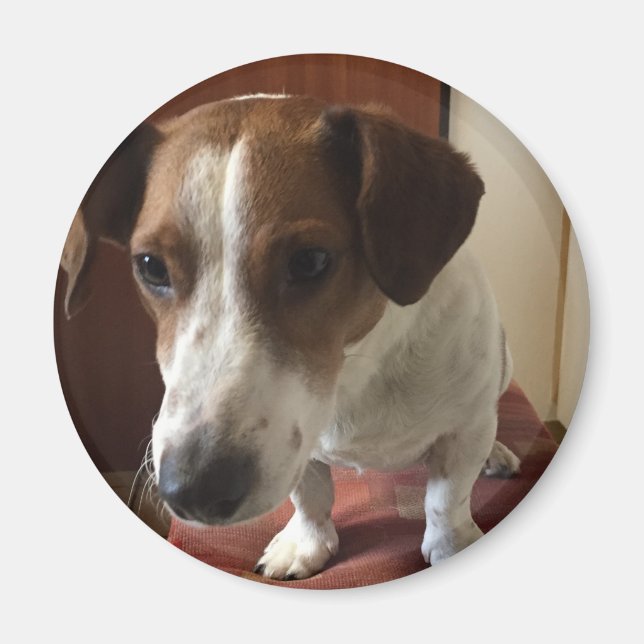 Personalisiert Magnete Magnet (Vorne)