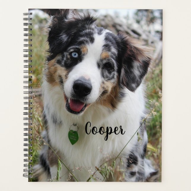 Personalisiert Merle Australian Shepherd Puppy Planer (Vorderseite)