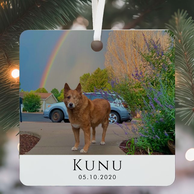 Personalisiert mit Name und Foto Hundeschema Ornament Aus Metall (Von Creator hochgeladen)