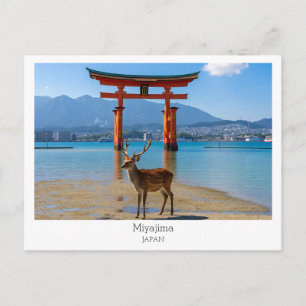 Personalisiert, Miyajima, Japan Postkarte