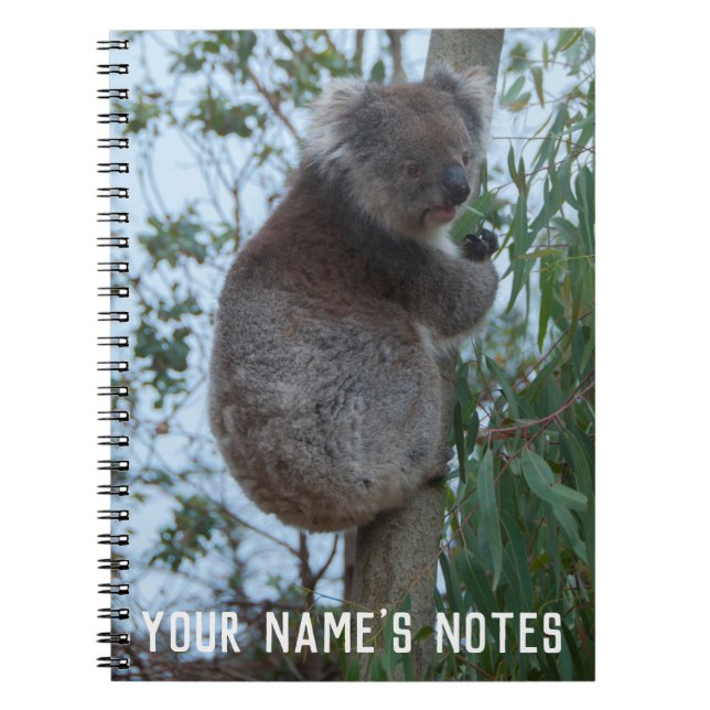 Personalisiert Niedliche Koala Animal Wildife Notizblock (Vorderseite)