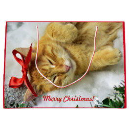 Personalisiert Orange Tabby Cat Weihnachten Große Geschenktüte