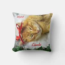 Personalisiert Orange Tabby Cat Weihnachten