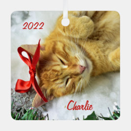 Personalisiert Orange Tabby Cat Weihnachten Ornament Aus Metall