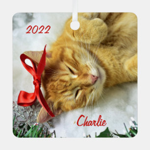 Personalisiert Orange Tabby Cat Weihnachten Ornament Aus Metall