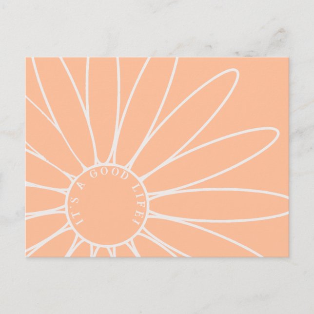 Personalisiert Peach Fuzz Daisy Blume Postkarte (Vorderseite)