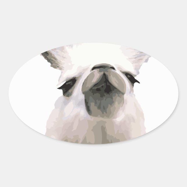 Personalisiert Snooty Snobby Llama Ovaler Aufkleber (Vorderseite)
