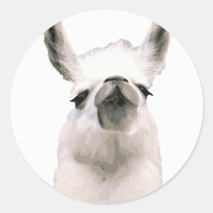Personalisiert Snooty Snobby Llama Runder Aufkleber