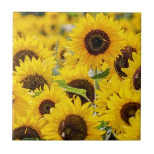 Personalisiert Sunflower Monogram  Fliese