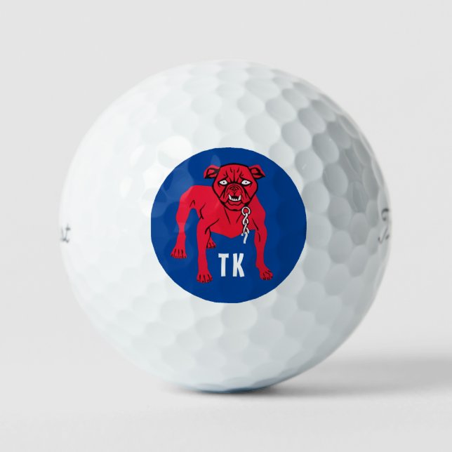 Personalisiert Titleist 2023 Pro V1 Golfbälle (Vorderseite)