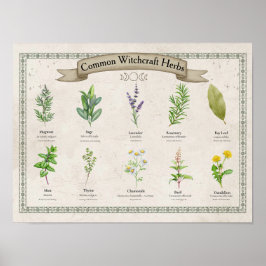 Personalisierte alte botanische Kräutertafel Poster