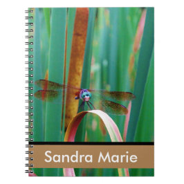 Personalisierte Aquamarine Mit Augen Libelle Notizblock