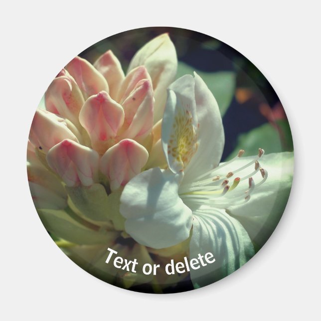 Personalisierte Azalea Blume Magnet (Vorne)
