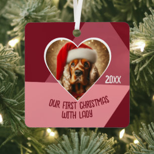 Personalisierte Begleiter Adoption Foto Hund Erste Ornament Aus Metall