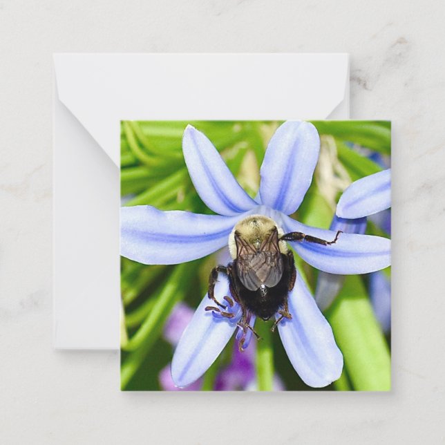 Personalisierte Biene in Blume Mini-Notizkarten Mitteilungskarte (Vorderseite)