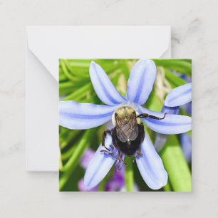 Personalisierte Biene in Blume Mini-Notizkarten Mitteilungskarte
