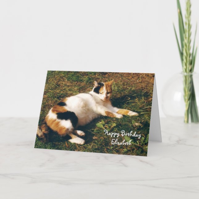 Personalisierte Calico Katze Sonnenbaden Geburtsta Karte (Vorderseite)