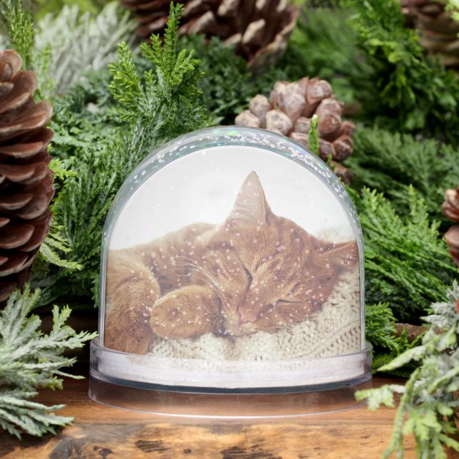 Personalisierte Cat Fotos Snow Globe Keepake Schneekugeln (Winter)