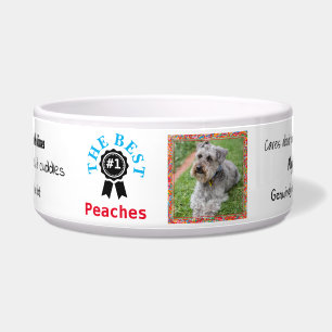 Personalisierte Dog Food Bowl - Ribbon- HAMbWG Napf