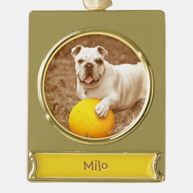 Personalisierte Familiendekoration Banner-Ornament Gold (Vorderseite)