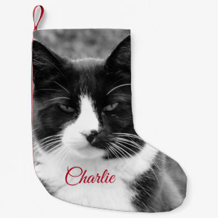 Personalisierte Ferien bei Katzen oder Hunden Kleiner Weihnachtsstrumpf