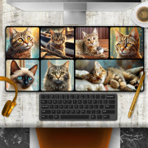 Personalisierte Fotocollage mit süßen Katzen