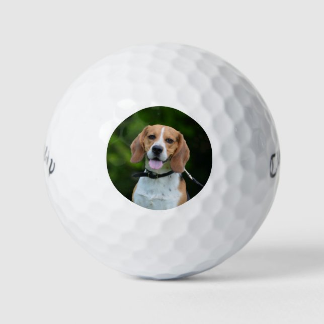 Personalisierte Fotografie Dog Golf Balls Golfball (Vorderseite)