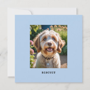 Personalisierte Fotogrußkarte mit Hund oder Katze