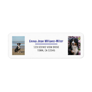 Personalisierte Fotos mit Hund moderne Rücksendead