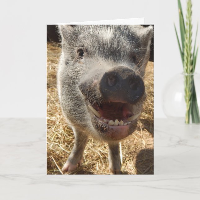 Personalisierte Grußkarte für Mini-Schweinefleisch Karte (Vorderseite)