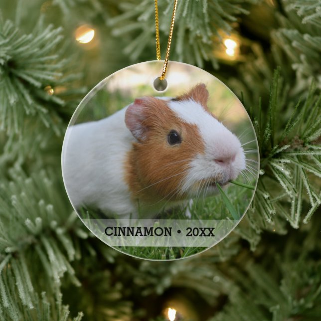 Personalisierte Haustiere Guinea Foto Weihnachtsba Keramikornament (Baum)