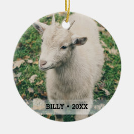 Personalisierte Hausziege Foto Name Weihnachtsbaum Keramik Ornament