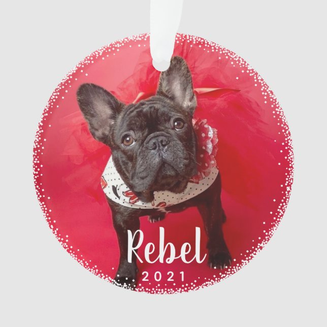 Personalisierte Hunde Holiday Foto Typografie Ornament (Vorderseite)
