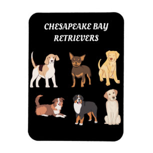 Personalisierte Hundeliebhaber von Chesapeake Bay  Magnet