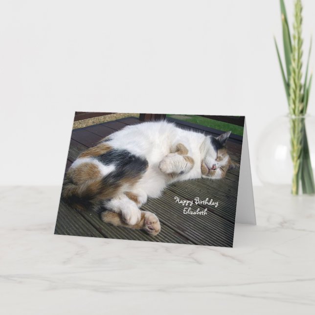 Personalisierte Kalikokatze gekräuselt herauf Karte (Vorderseite)