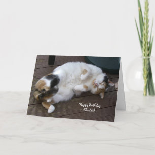 Personalisierte Kalikokatze gekräuselt herauf Karte