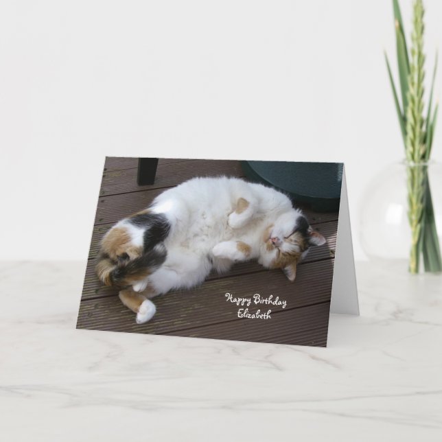 Personalisierte Kalikokatze gekräuselt herauf Karte (Vorderseite)