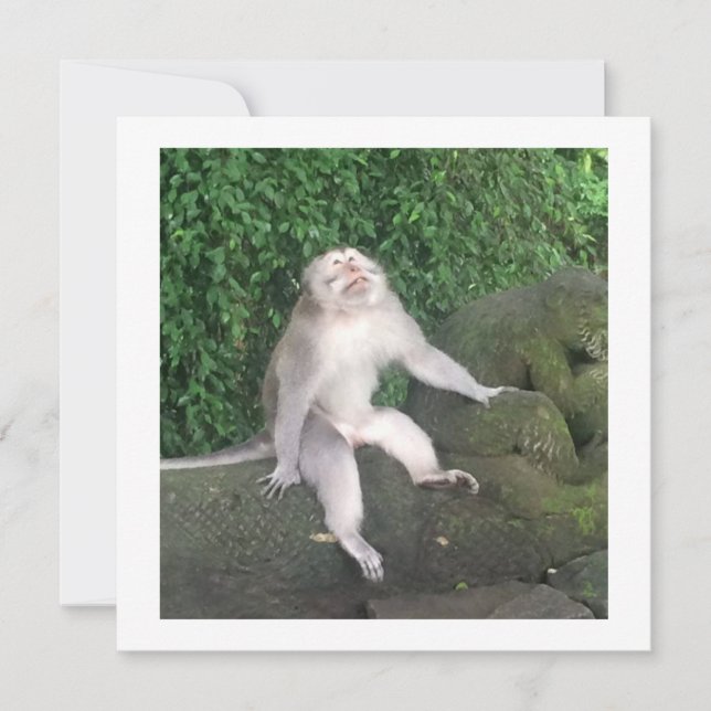 Personalisierte Karte - Funny Monkey (Vorderseite)