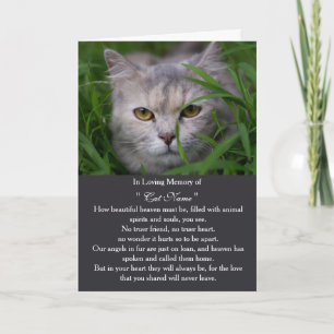Personalisierte Katzen-Mitgefühlskarte mit Foto, H Karte