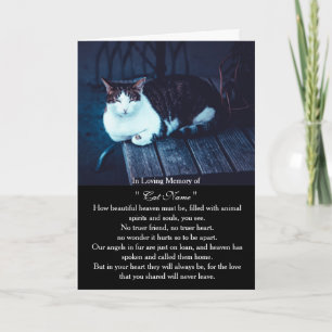 Personalisierte Katzen-Mitleidskarte mit Foto - Ha Karte