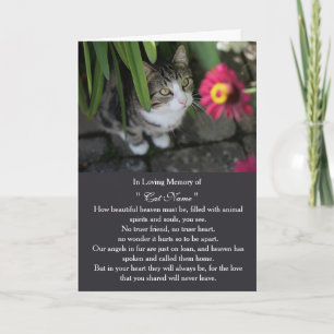 Personalisierte Katzen-Trostkarte mit Foto - Haust Karte